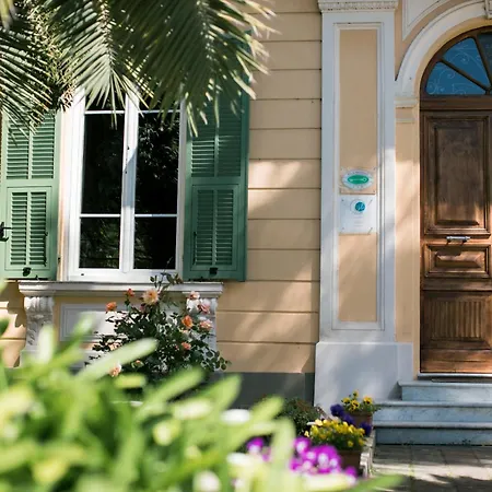 Agapantus In Dell'800