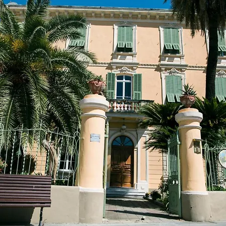 Agapantus In Dell'800