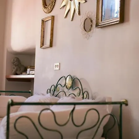 Agapantus In Dell'800