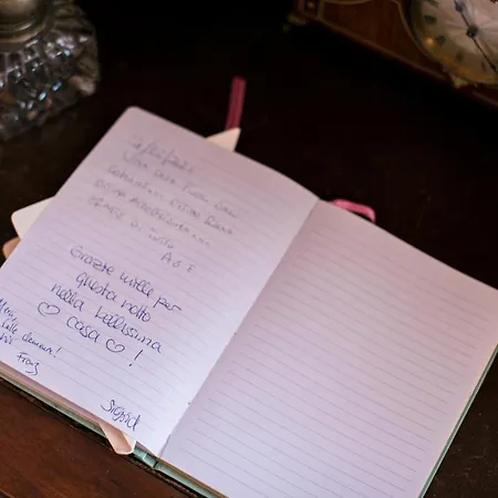 Agapantus In Dell'800 4*