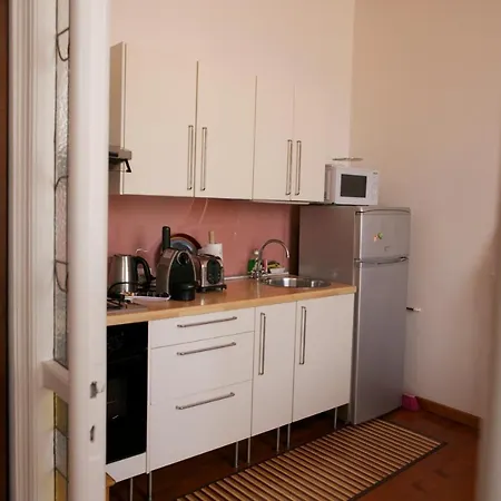 Agapantus In Dell'800