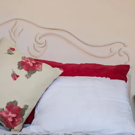 Agapantus In Dell'800