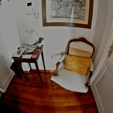 Agapantus In Dell'800 4*