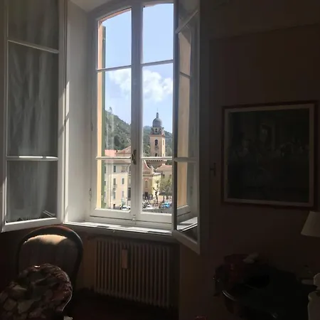 Agapantus In Dell'800 4*