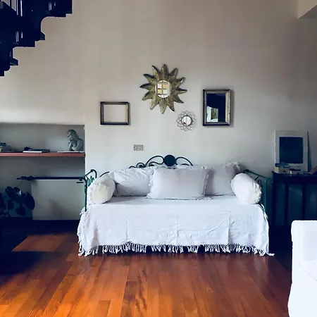 Agapantus In Dell'800 4*