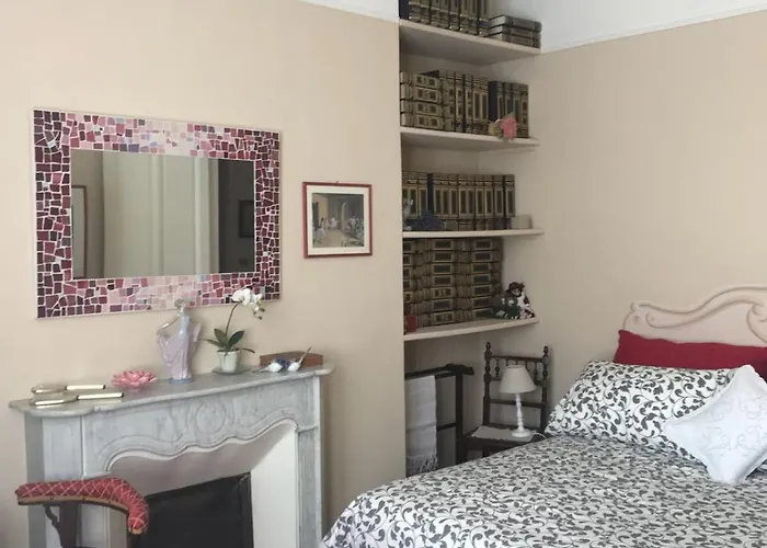 Agapantus In Dell'800 4*