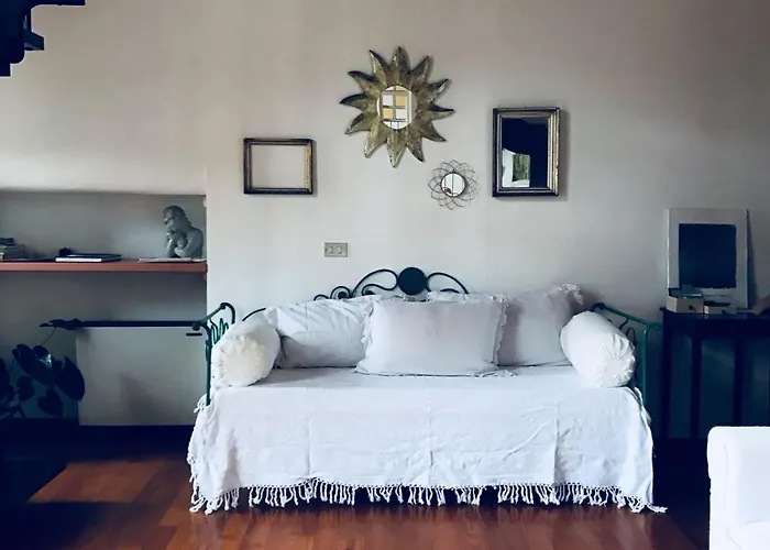 Agapantus In Dell'800 4*