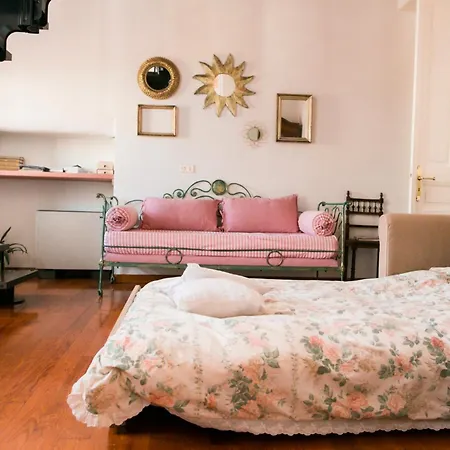 Agapantus In Dell'800 4*