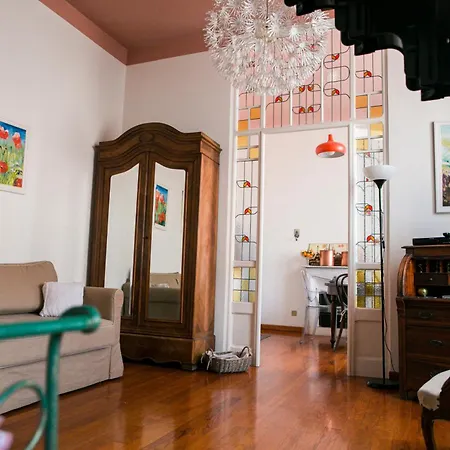 Agapantus In Dell'800