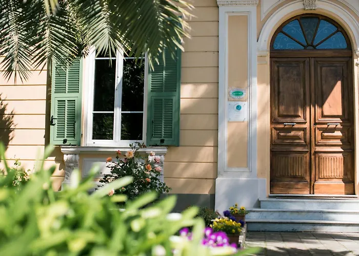 Agapantus In Dell'800