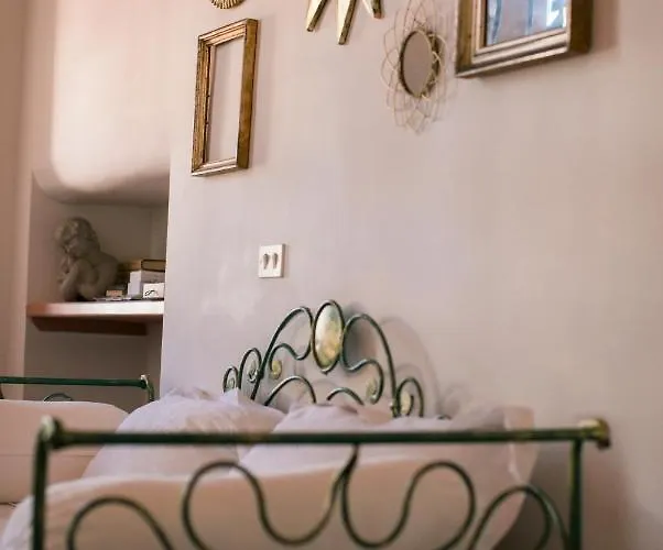 Agapantus In Dell'800