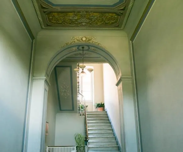 Agapantus In Dell'800 Bed & Breakfast Dolceacqua