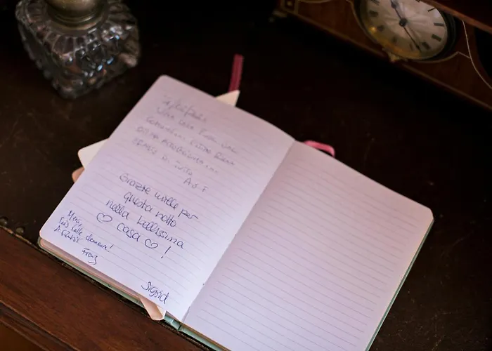 Agapantus In Dell'800 4*