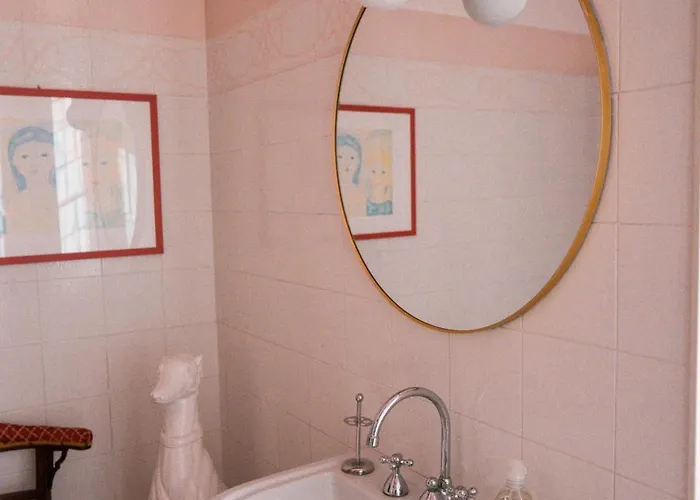 Agapantus In Dell'800 Dolceacqua