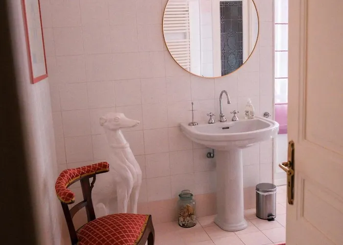 Agapantus In Dell'800 Bed & Breakfast
